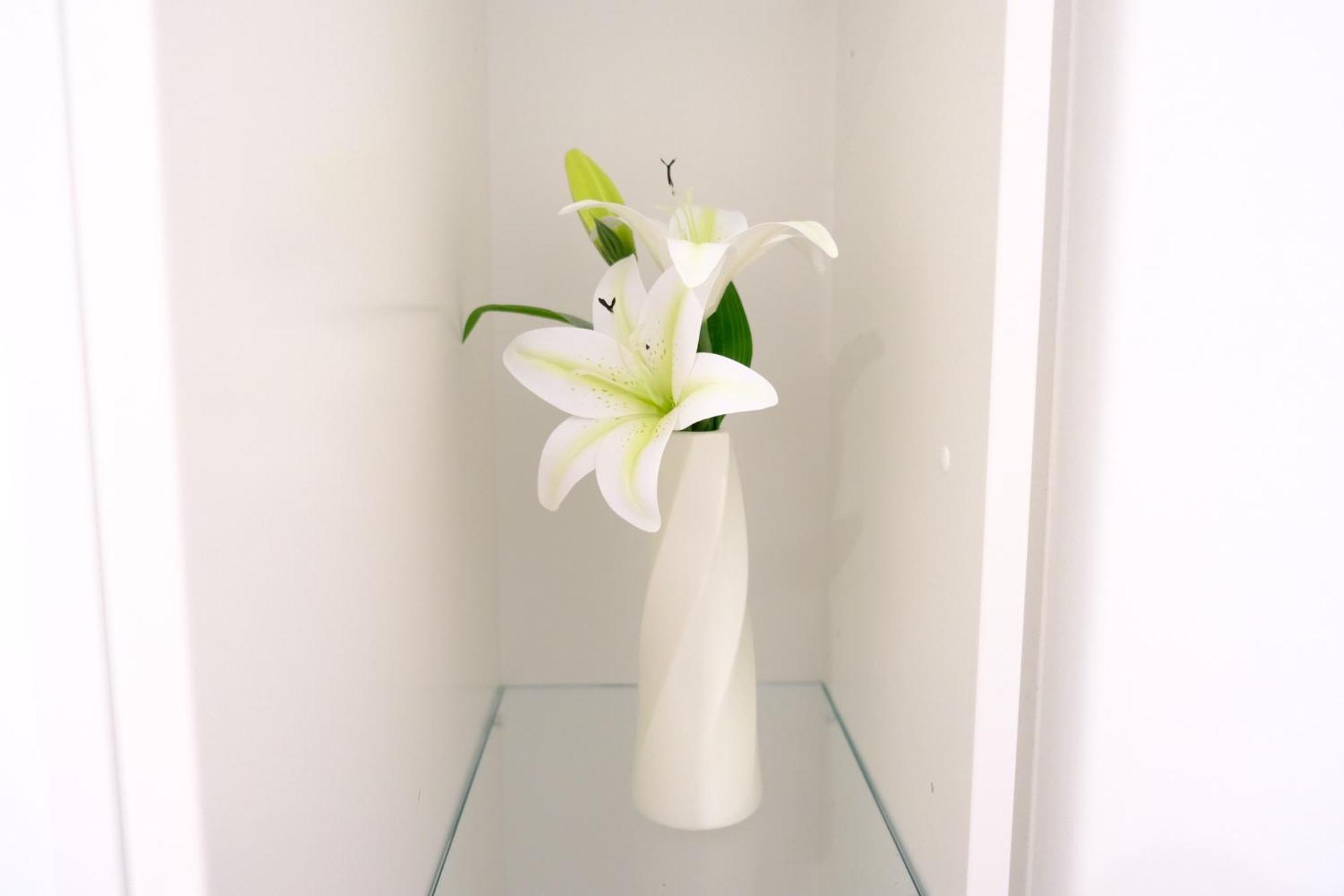 Appartamento Cbd Japanese Retreat 2Br 1P Brekky Wifi Netflix Canberra Esterno foto